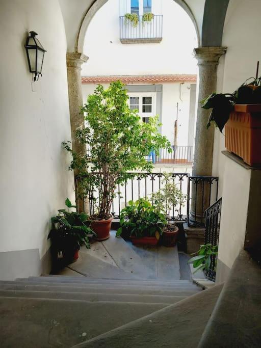 Nilo 28 House Daire Napoli Dış mekan fotoğraf